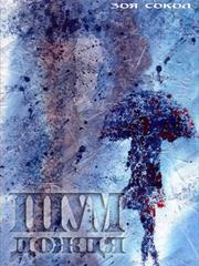 Шум дождя. Сборник рассказов. Зоя Сокол